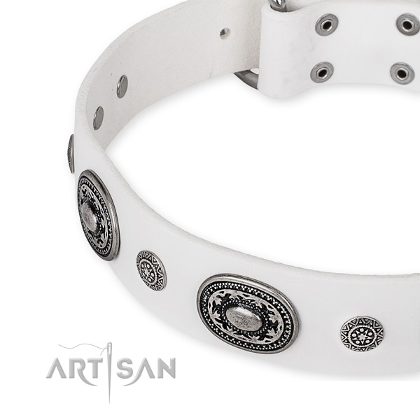 Flexible full grain leather dog collar handmade for your stylish four-legged friend