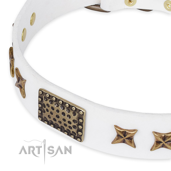 Leather collar with reliable D-ring for your lovely canine