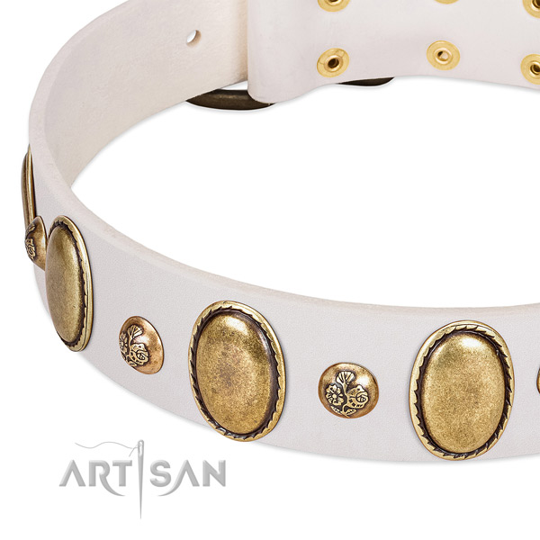 Leather dog collar with stylish design studs