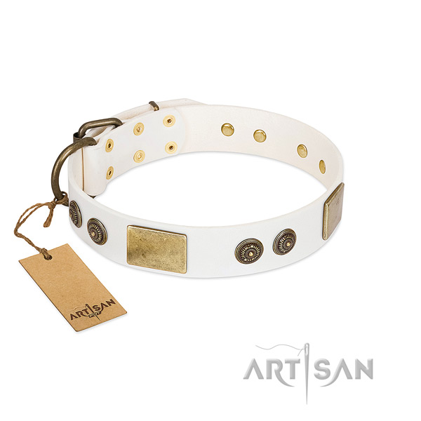 Best quality genuine leather dog collar for everyday walking