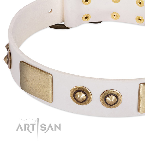 Rust-proof buckle on full grain natural leather dog collar for your canine