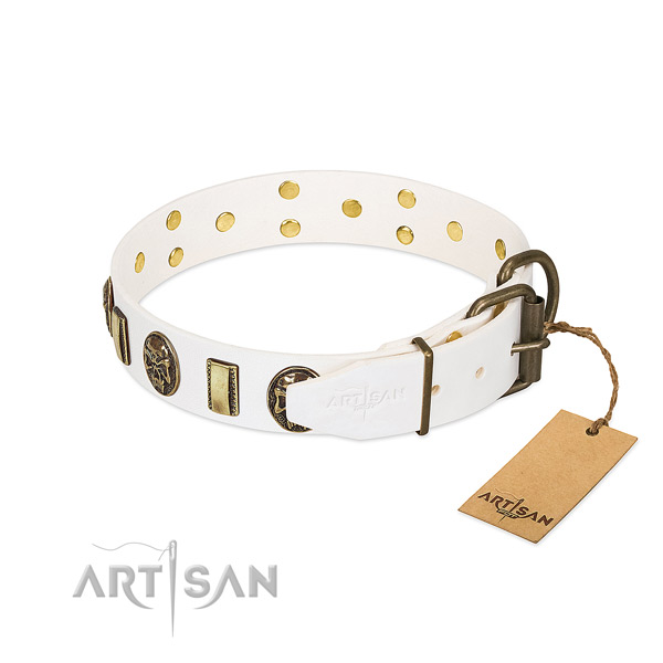 Reliable D-ring on full grain natural leather collar for everyday walking your canine