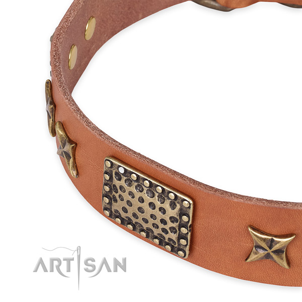 Full grain leather collar with rust-proof traditional buckle for your impressive canine