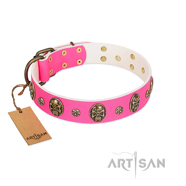 Trendy full grain leather dog collar for walking