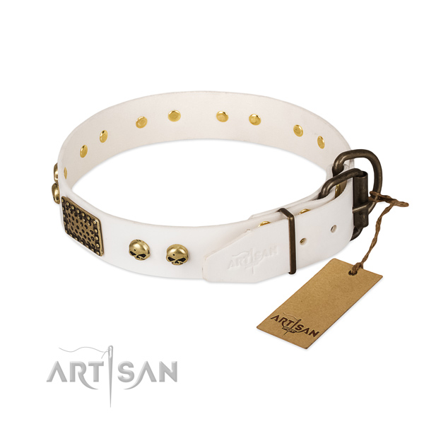 Easy adjustable natural leather dog collar for daily walking your dog