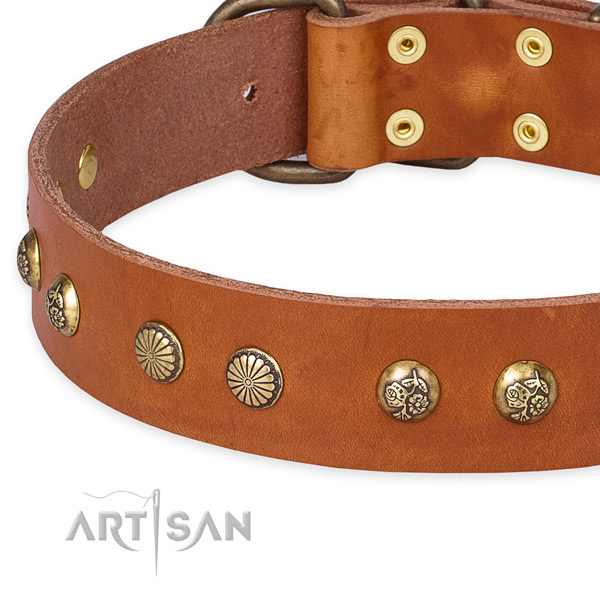 Full grain leather collar with reliable fittings for your lovely four-legged friend