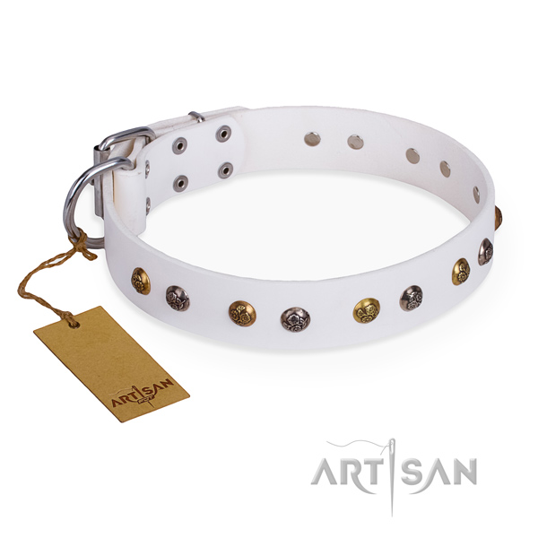 Basic training unusual dog collar with durable hardware