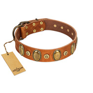"Crystal Sand" FDT Artisan Tan Leather Dogue de Bordeaux Collar with Vintage Looking Oval and Round Studs