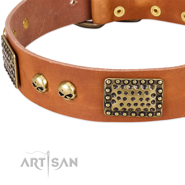 Rust-proof decorations on full grain genuine leather dog collar for your four-legged friend