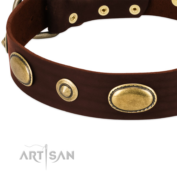 Rust resistant adornments on genuine leather dog collar for your pet