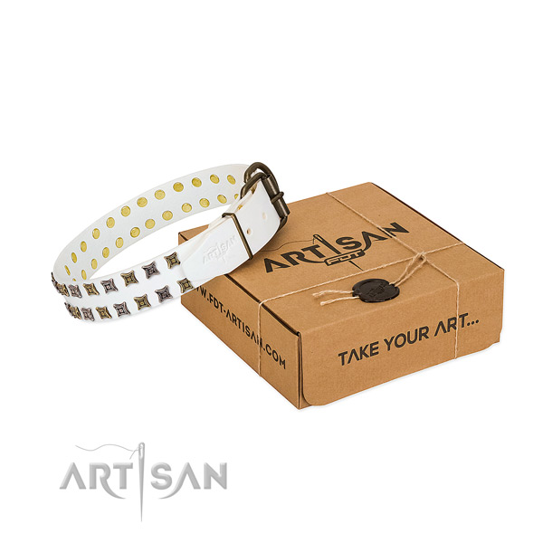 Full grain leather collar with fashionable studs for your canine