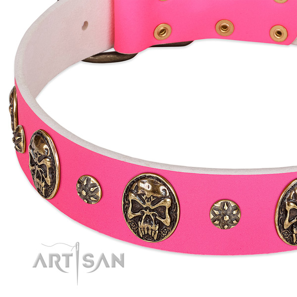 Perfect fit dog collar made for your impressive pet