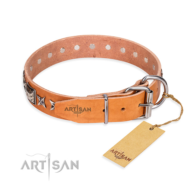 Strong embellished dog collar of genuine leather