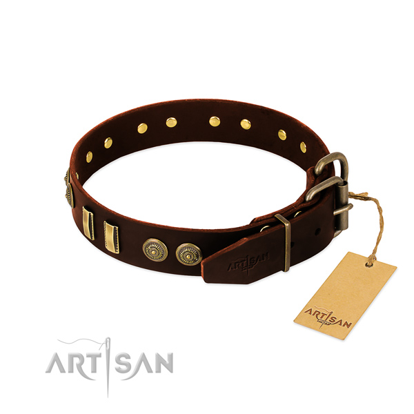 Durable embellishments on leather dog collar for your pet