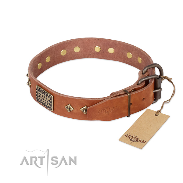 Full grain leather dog collar with rust resistant hardware and decorations