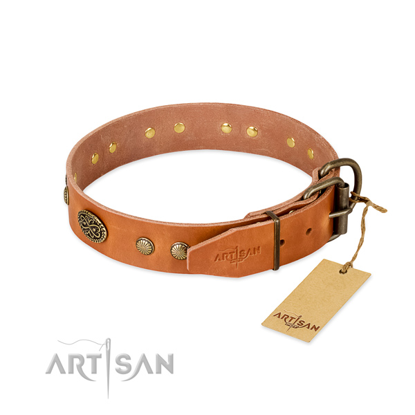 Reliable fittings on leather dog collar for your dog