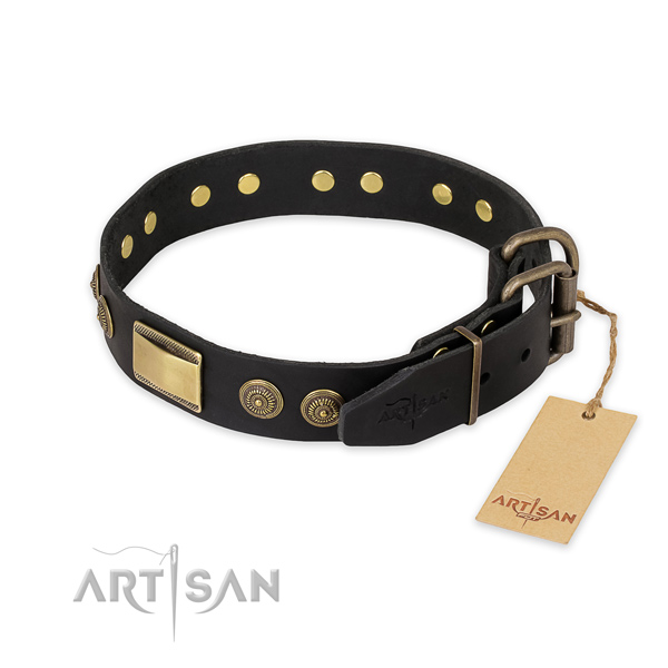 Strong traditional buckle on full grain leather collar for fancy walking your doggie