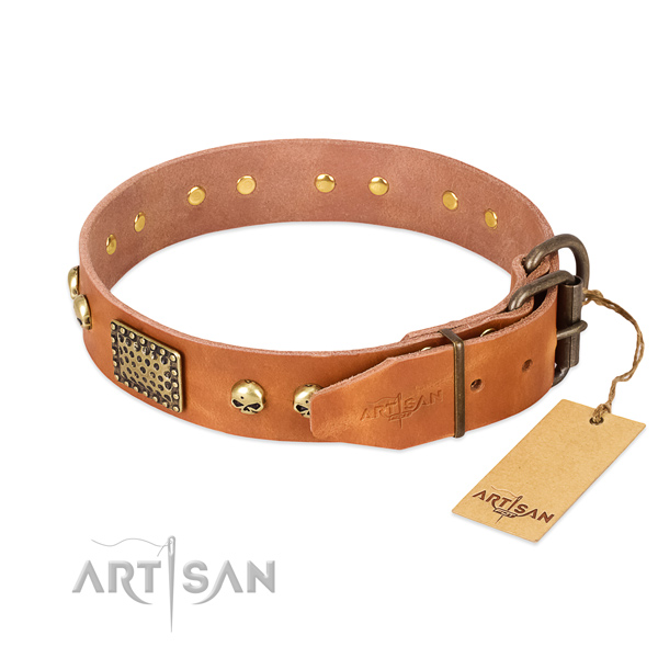 Rust-proof decorations on comfortable wearing dog collar