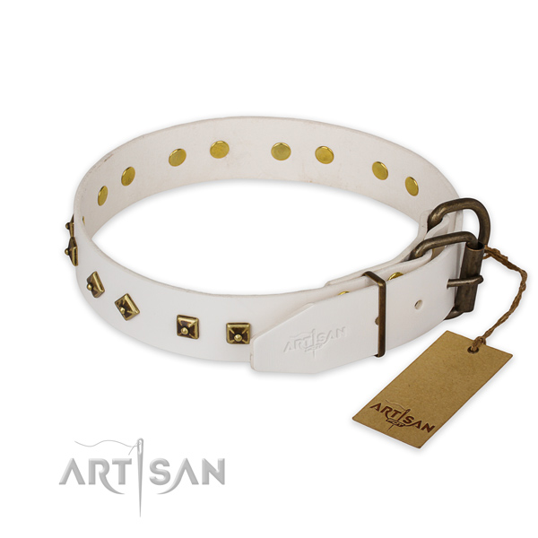 Rust-proof traditional buckle on genuine leather collar for walking your doggie