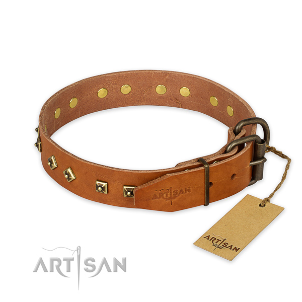 Corrosion proof buckle on full grain genuine leather collar for fancy walking your canine