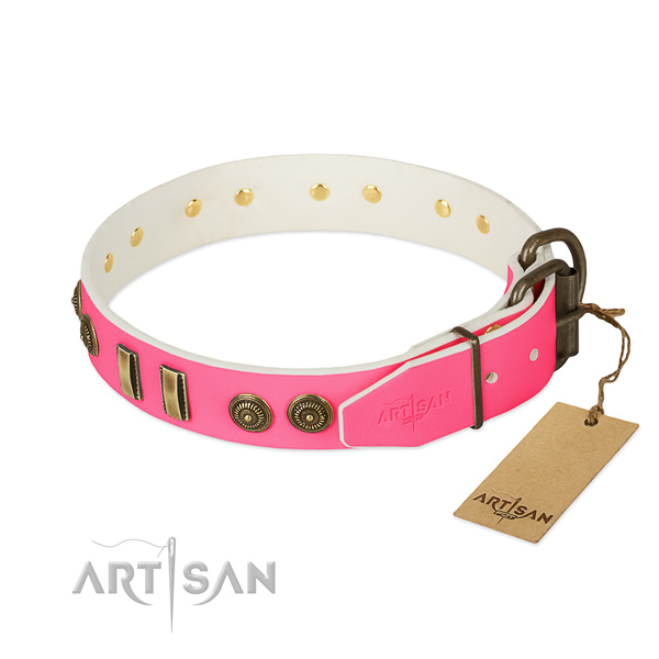 Corrosion resistant studs on full grain leather dog collar for your dog
