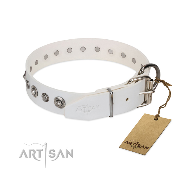 Finest quality natural leather dog collar with incredible studs
