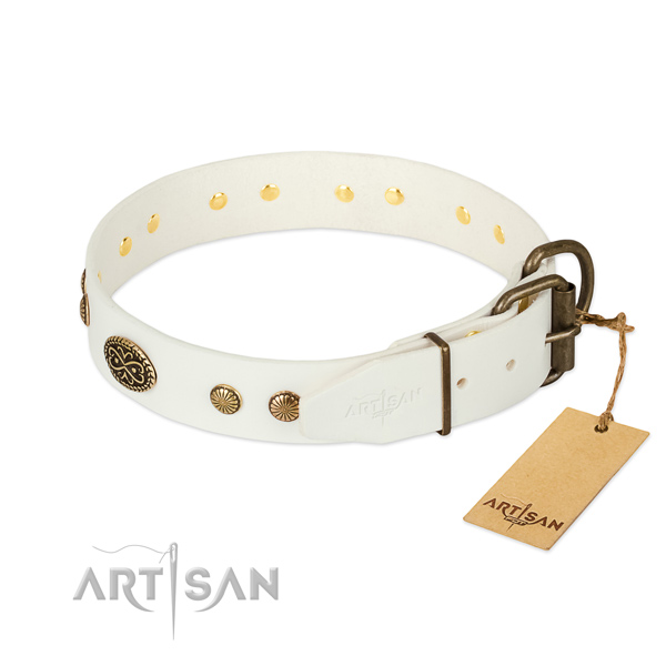 Rust resistant adornments on full grain leather dog collar for your pet