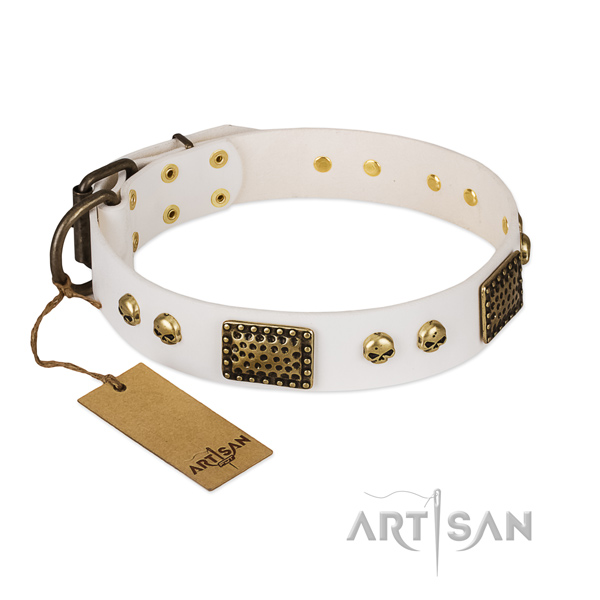 Corrosion proof hardware on easy wearing dog collar
