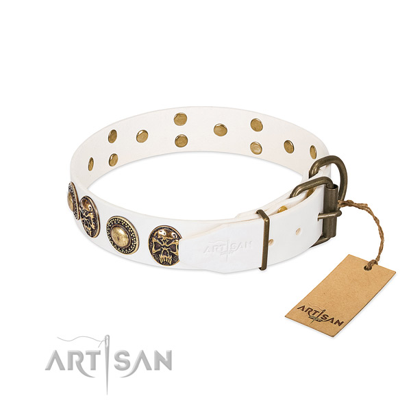 Strong fittings on stylish walking dog collar