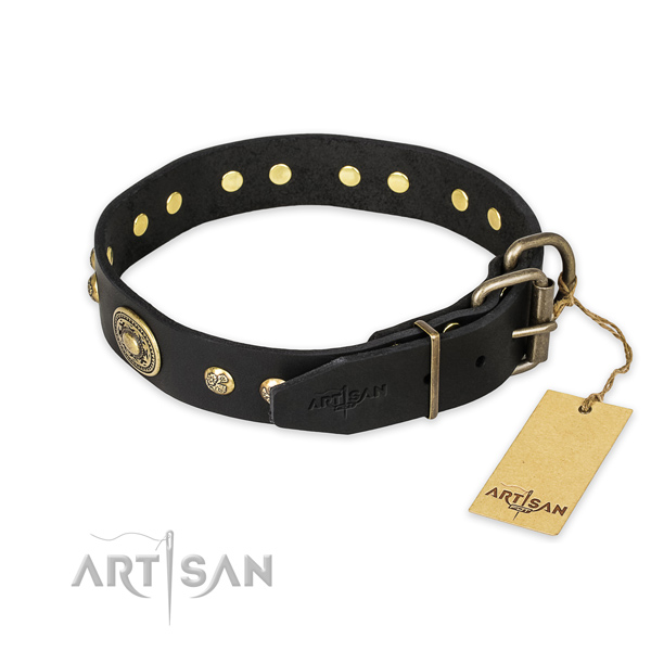 Corrosion resistant traditional buckle on full grain natural leather collar for daily walking your canine