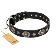 "Black Tie" FDT Artisan Leather Dogue de Bordeaux Collar with Old Silver-like Decorations