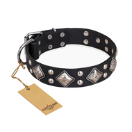 "Smart Geometry" FDT Artisan Studded Leather Dogue de Bordeaux Collar