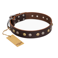 "Rare Flower" FDT Artisan Brown Leather Dogue de Bordeaux Collar Adorned with Old-look Hemisphere Studs