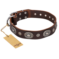"Extra Pizzazz" FDT Artisan Adorned Brown Leather Dogue de Bordeaux Collar