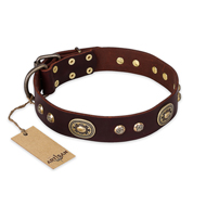 "Breath of Elegance" FDT Artisan Decorated with Plates Brown Leather Dogue de Bordeaux Collar