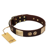 "Sense of Freedom" FDT Artisan Brown Leather Dogue de Bordeaux Collar with Old Bronze-Plated Studs and Plates