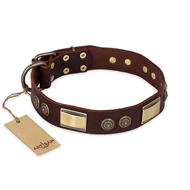 "Golden Stones" FDT Artisan Brown Leather Dogue de Bordeaux Collar with Old Bronze Look Plates and Circles