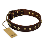 "Fashion Studs" FDT Artisan Decorated Leather Dogue de Bordeaux Collar with Old Bronze-Plated Steel Hardware