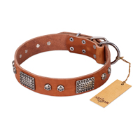 "Sparkling Skull" FDT Artisan Tan Leather Dogue de Bordeaux Collar with Old Silver Look Plates and Skulls
