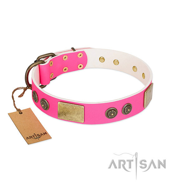 Fashionable natural genuine leather dog collar for walking