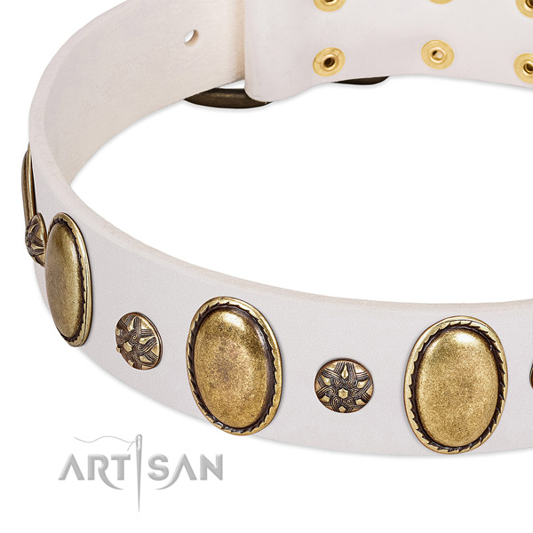 Easy wearing top rate genuine leather dog collar