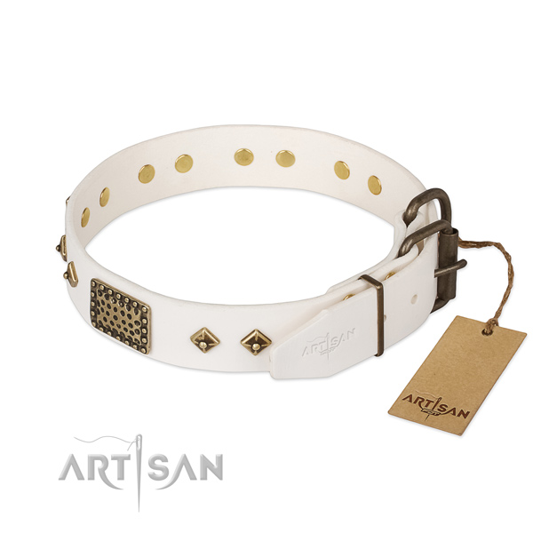 Full grain natural leather dog collar with corrosion resistant fittings and embellishments