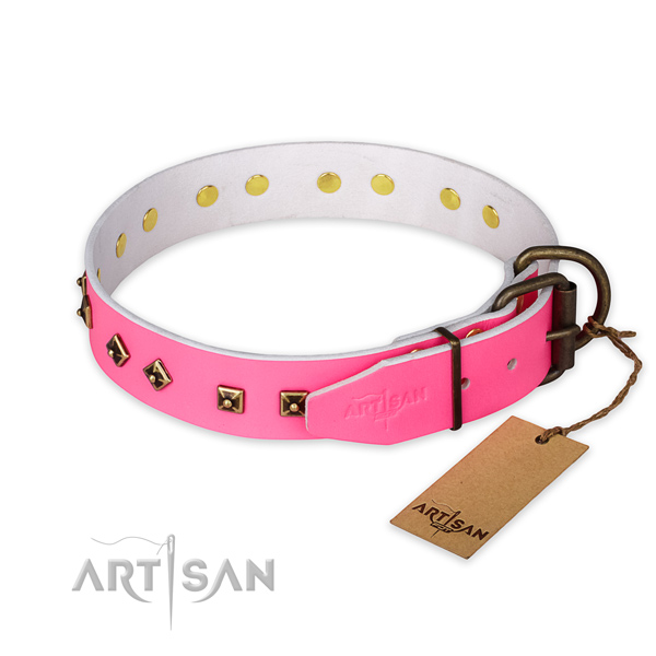 Rust resistant traditional buckle on leather collar for fancy walking your pet