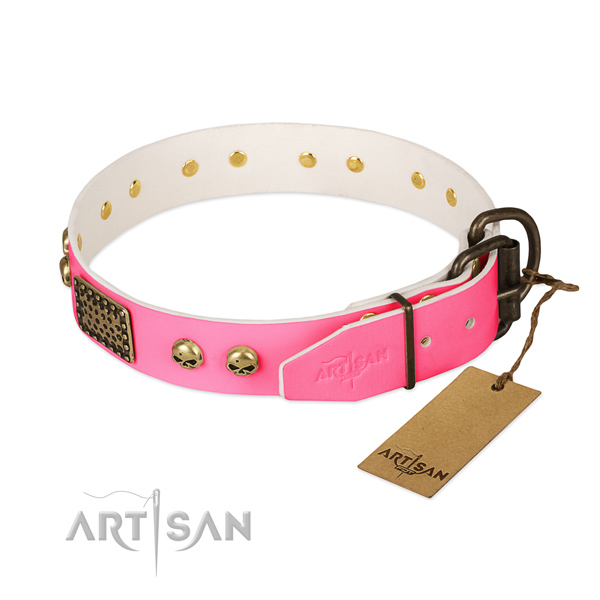 Corrosion resistant fittings on basic training dog collar