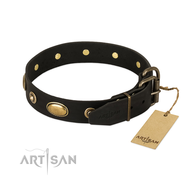 Rust resistant traditional buckle on natural leather dog collar for your four-legged friend