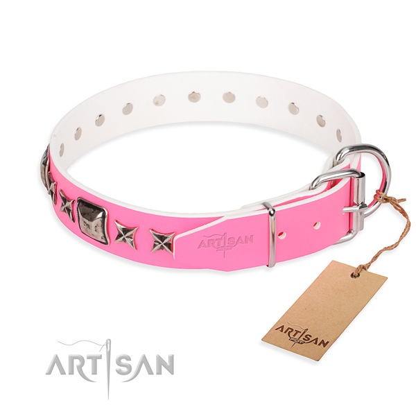 Finest quality studded dog collar of natural leather