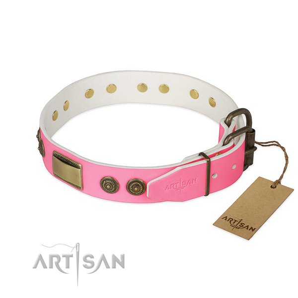 Reliable decorations on walking dog collar