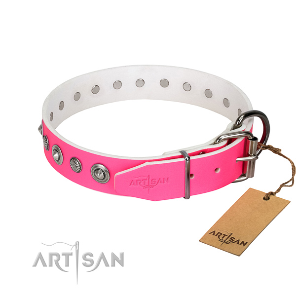 Reliable leather dog collar with remarkable decorations
