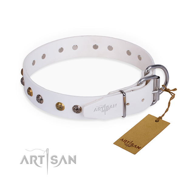 Full grain natural leather dog collar with exceptional rust-proof embellishments