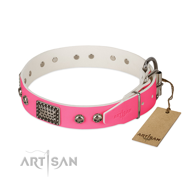 Rust-proof adornments on daily walking dog collar
